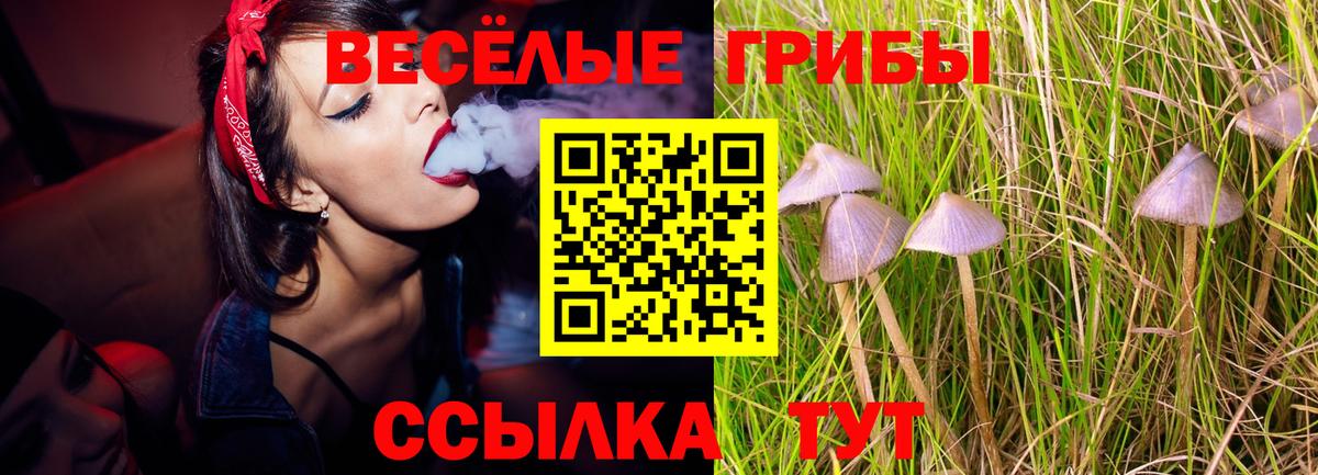 Псилоцибиновые грибы мухоморы  Галлюциногенные грибы Psilocybe  Вход с VPN  Обь 